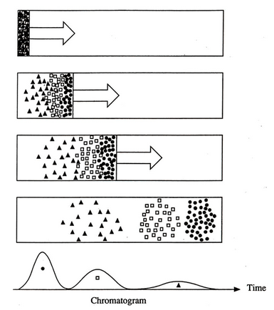File:Chromatography.png