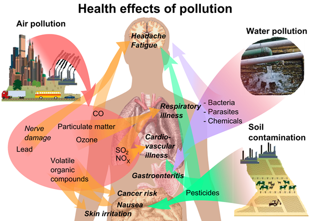 File:Health effects of pollution.png
